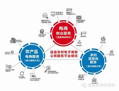 農村電子商務的“遂昌模式” “協會+公司”驅動電商服務創新