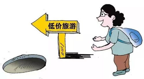 旅游市場暗涌 一日游強(qiáng)制消費(fèi)問題仍存，北京消協(xié)發(fā)布監(jiān)測報(bào)告